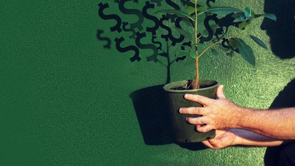 From seed funding of $1 million to early stage funding of $34 million. There's much hope for budding tech companies in the US.