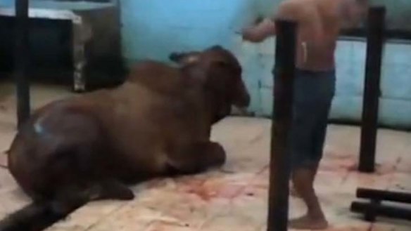 "I was busy" ... Darwin and Aliaman in the ABC footage.