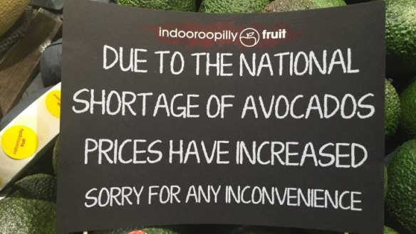 The shortage of avocados has hit the whole of Australia - and our sandwich-making habits.