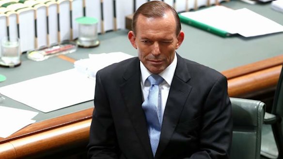 Prime Minister Tony Abbott during question time. Photo: Alex Ellinghausen