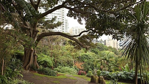 Wendy Whiteley's Secret Garden in Lavender Bay.