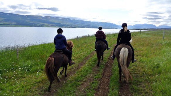 Horseback riding in Iceland: A chilled-out way to see Iceland's ...