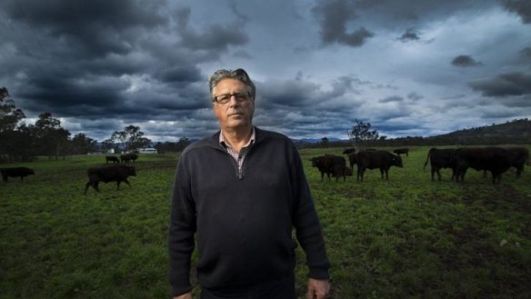 Class cattle: Neighbours have a beef with David Blackmore's farming ways.