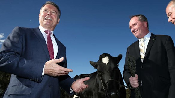 Shadow Agriculture Minister Joel Fitzgibbon and Agriculture Minister Barnaby Joyce inspect a dairy cow on Wednesday. Photo: Alex Ellinghausen