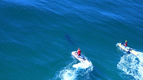 A shark was spotted at Lighthouse Beach, after surfer Cooper Allen was bitten on Monday morning. 