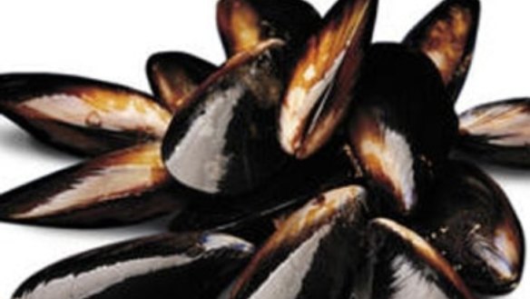 Catalan-Style Mussels
