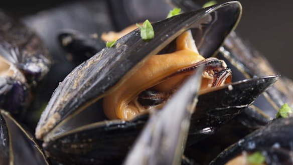 Sea change: Black mussels are the key ingredient for Bryan Martin's cavatelli con fagioli.