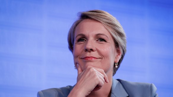 Deputy Opposition Leader Tanya Plibersek delivers her International Women's Day address to the National Press Club of Australia in Canberra on Wednesday 7 March 2018. 