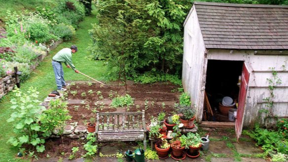 Garden delights: The author tends his field of dreams.