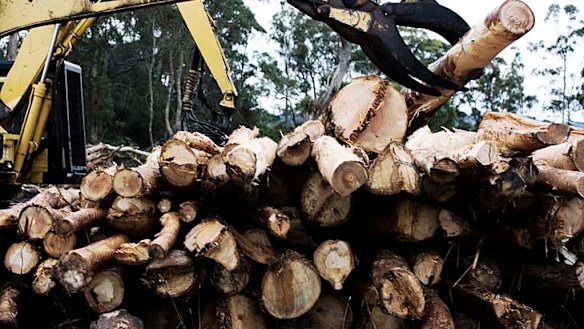 As in the Nordic countries, Australia's native forestry industry employs thousands. Yet they manage to realise the potential for renewable energy where we do not.