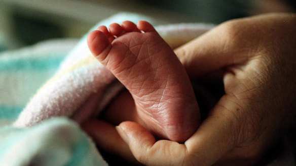 The LNP government plans to stop single people, same-sex couples and couples who have lived together for less than two years from having a child through surrogacy.