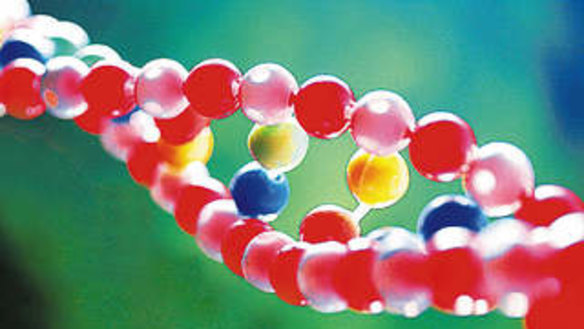 There are no “superior” genes, and therefore no way to create genetically superior humans.