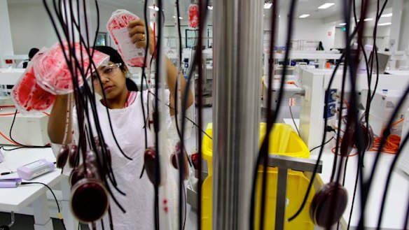 Technical Assistant, Hetal Kotecha working at the Australian Red Cross Blood Service that is the new facility recently opened in Alexandria.7th June 2011Photograph by Dallas Kilponen