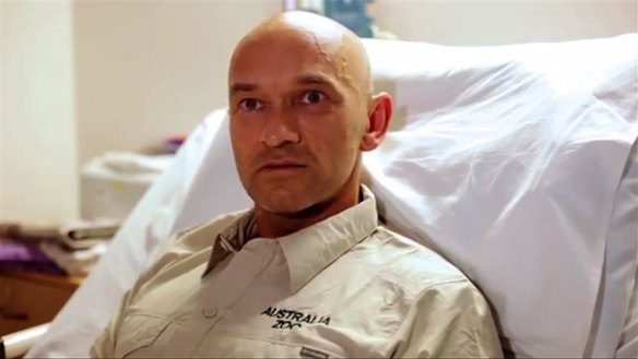 Australia Zoo tiger handler Mark Turner recovers after being bitten this week.