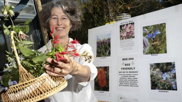 Save the bees campaigner Julie Armstrong of Duffy displays a basket of bee-friendly winter-flowering plants.