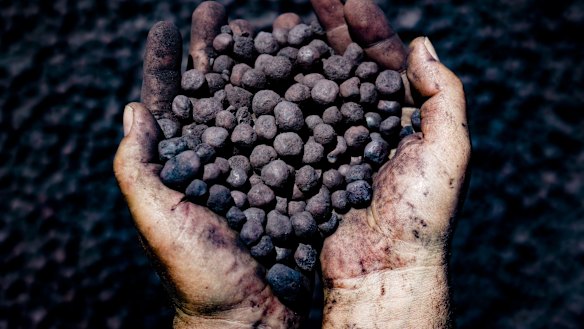 The project in Brazil would not produce any iron ore.