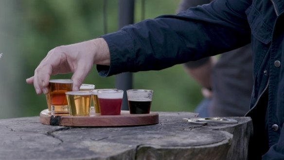 Sample craft beer at Forest Brewing Company