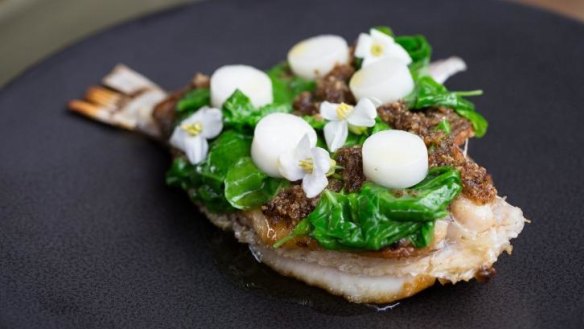 John Dory with mountain spinach, white kabu turnips and Chinese broccoli blossoms.