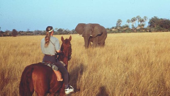 A visitor on horseback nears an elephant on an Okavango Delta ride.