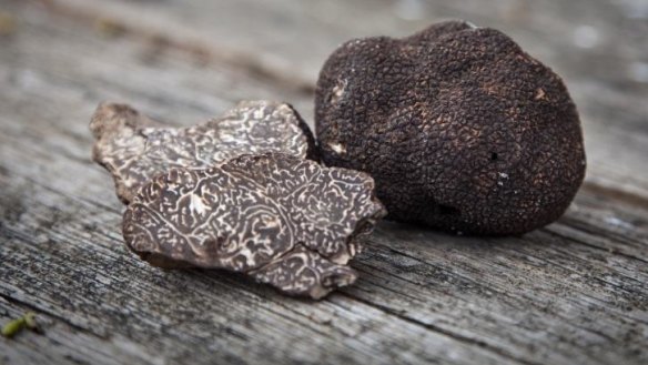 It's the season for truffles in the Canberra region.