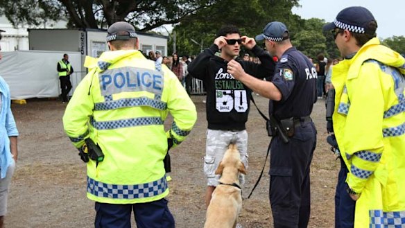 Police say ''accurate'' … a sniffer dog at a festival.