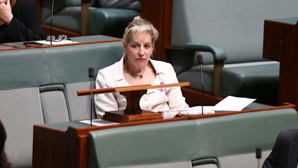 Labor MP Alannah MacTiernan during question time. Photo: Alex Ellinghausen
