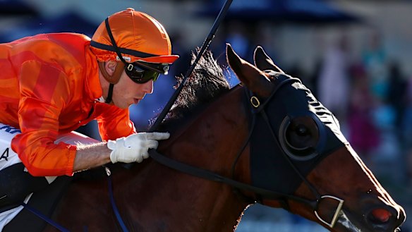 Class act: Jockey Brenton Avdulla rides Dreamforce to win at Rosehill Gardens.