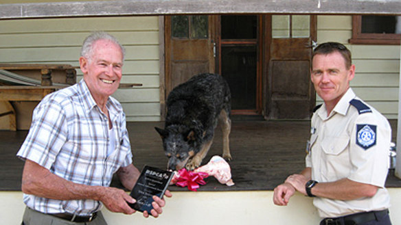 Dog given medal after 'canine CPR'