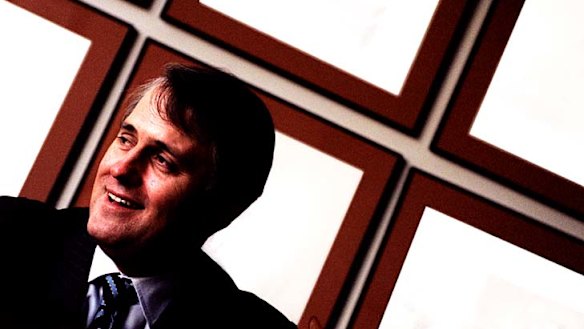 Striving ... Malcolm Turnbull in his time as OzEmail chairman.