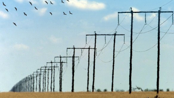 Security concerns have been raised about the possible privatisation of NSW's electricity distribution network.