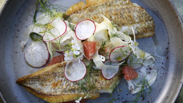 Snapper with fennel and grapefruit.