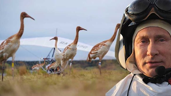 When it comes to stunts, Putin doesn't mind making a goose of himself