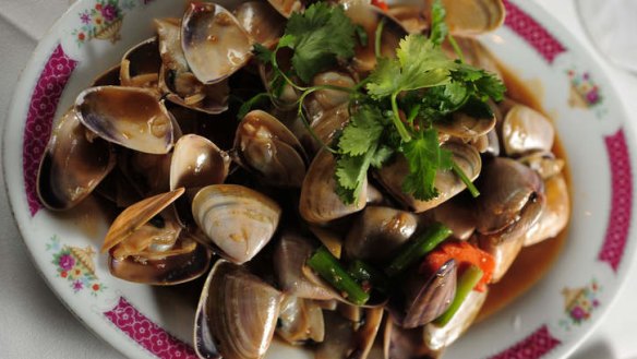 Live pipis stir-fried in XO sauce.