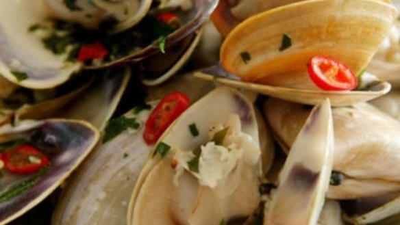 Steamed pipis in wine with tomato and garlic
