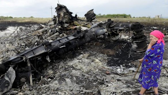 A local resident looks at the wreckage of Malaysia Airlines Flight MH17.