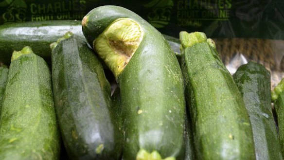 An 'ugly' zucchini at the greengrocer.