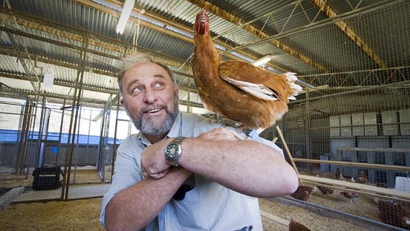 "There is an assumption free range chickens are happy chickens. Even if they are producing fewer eggs, at least they are happy" ... Geoff Hinch, Professor of Animal Science.