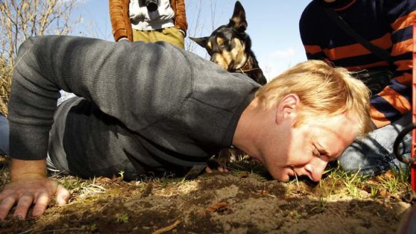 Strong aromas: Jamie Ryan smelling out truffles during the hunt in the southern highlands.
