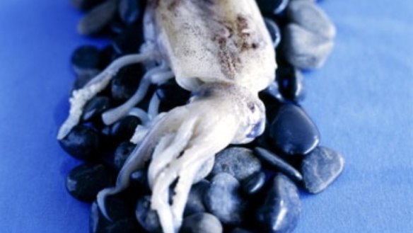 Calamari with chillies and basil
