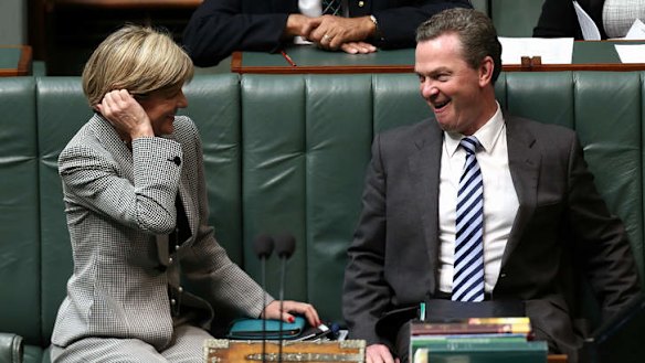 Guess who I just met? Foreign Affairs Minister Julie Bishop and Leader of the House Christopher Pyne in discussion at the start of question time on Wednesday. Photo: Alex Ellinghausen