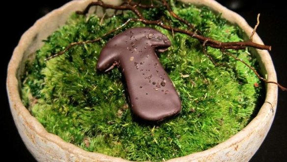 Rather wonderful: Fermented shiitake mushroom in dark chocolate.