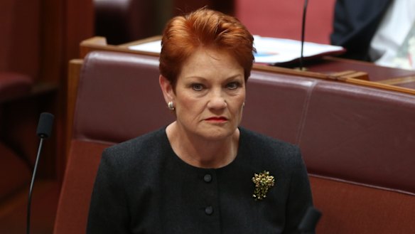 Students with disabilities are putting a strain on teachers and schools, Pauline Hanson has told Parliament.