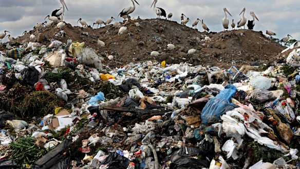 A rubbish dump at Eastern Creek, which might feed the proposed incinerator.