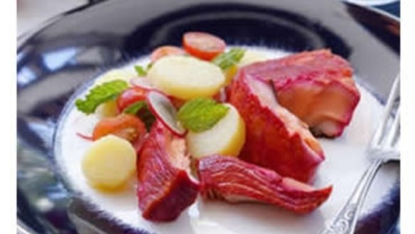 Beetroot salmon with warm potato, tomato and mint