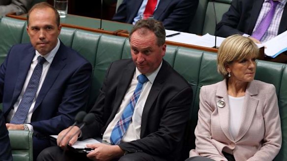 Barnaby Joyce during question time on Thursday.