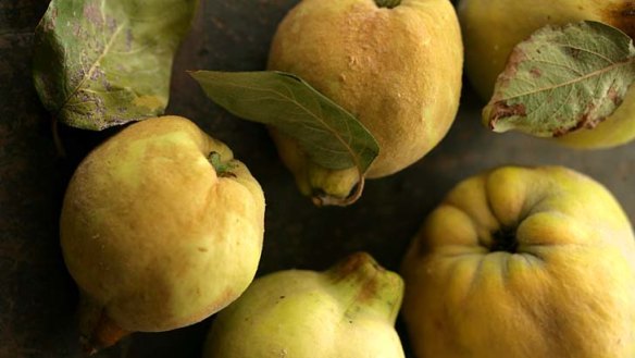 Quinces ... perfect for sweet or savoury dishes.