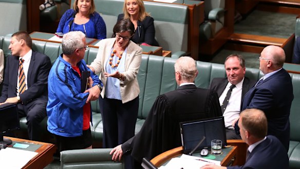 Independent MPs Andrew Wilkie and Cathy McGowan approach the tellers during a division at Parliament House in Canberra on Monday.