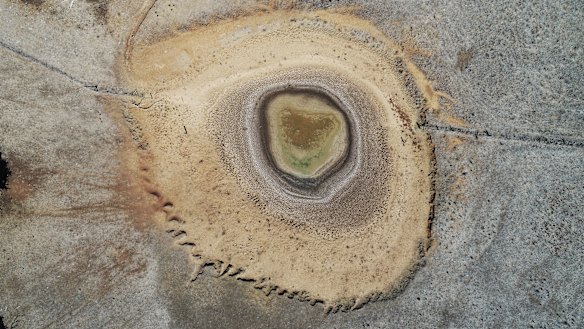 Dams on properties in the Upper Hunter are drying out.