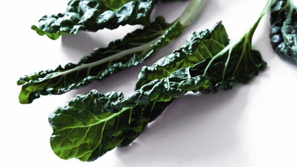 Silverbeet has a deep earthy flavour and a wonderful bitter sweetness.