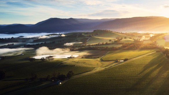 Yarra Valley is just an hour from Melbourne and boasts world-class wines and experiences.